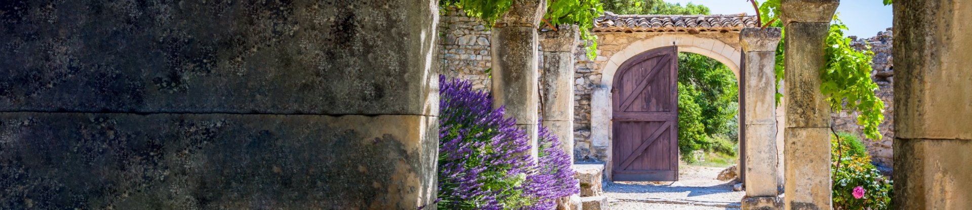 Grasse | The Candle Fragrance Co