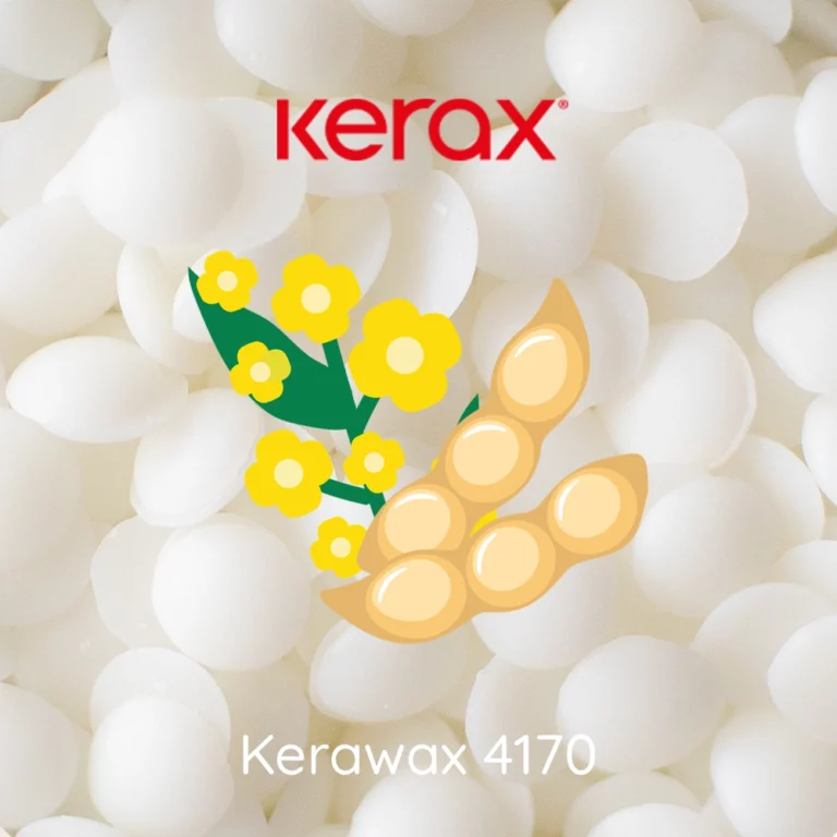 Kerax Rapeseed Container 4170 | Rapeseed Wax | The Candle Fragrance Co