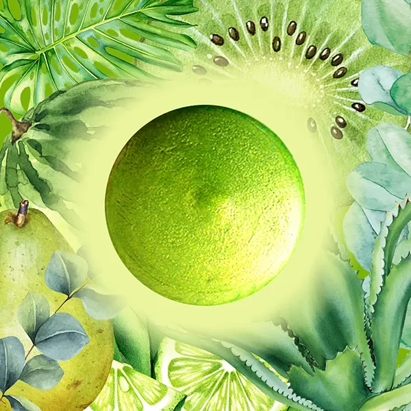Lime | The Candle Fragrance Co